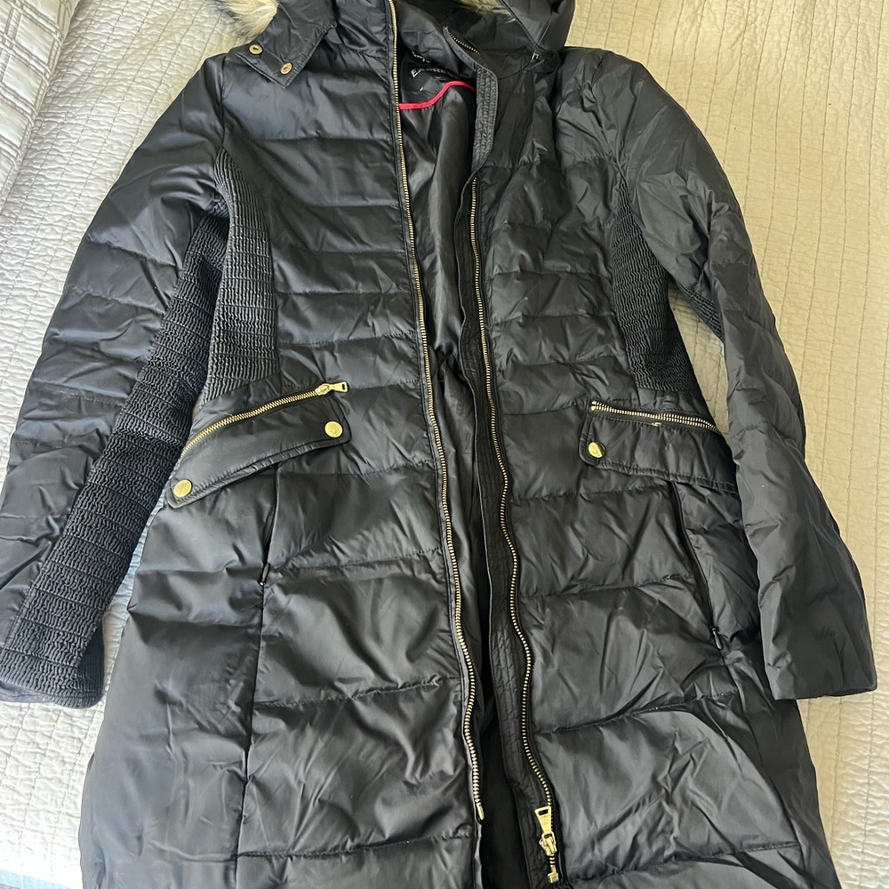 Express Black Puffer Jacket with Gold Accents